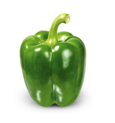 Capsicum